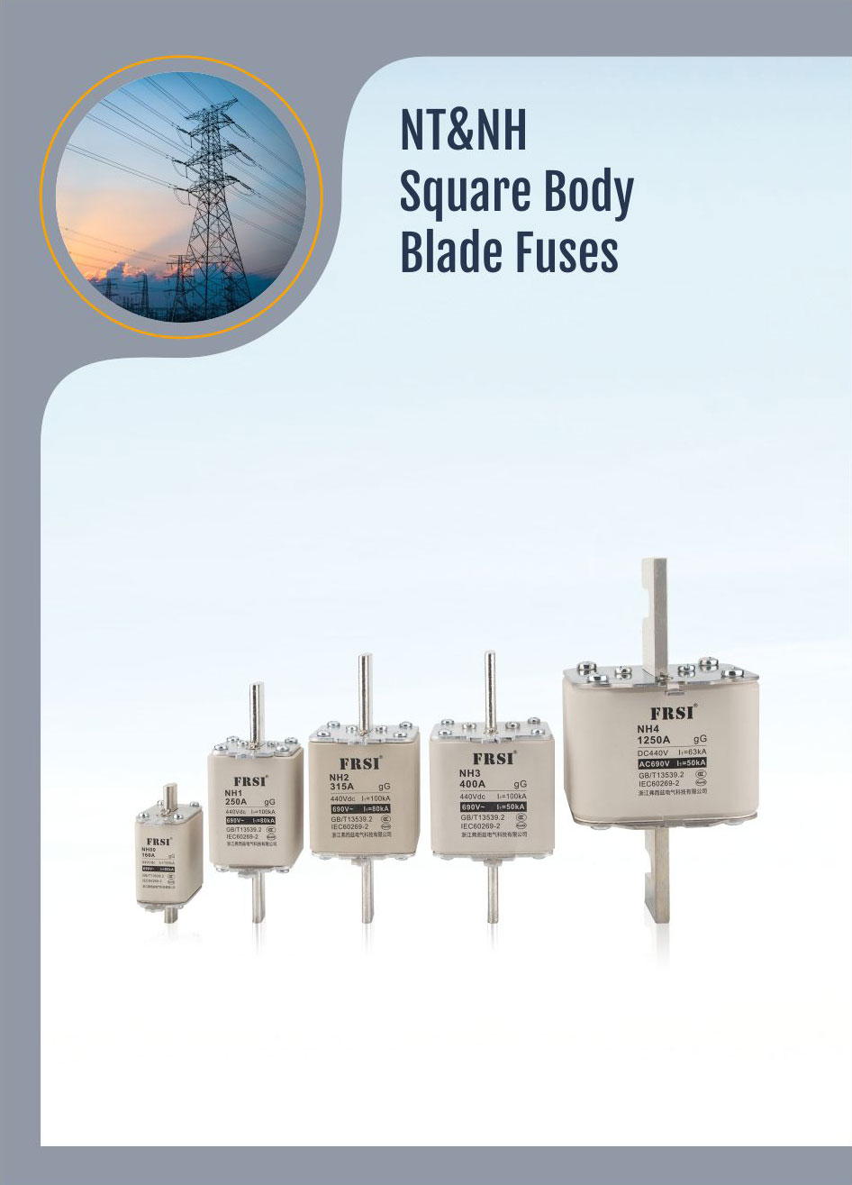 NT&NH Square Blade Fuse